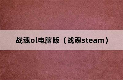 战魂ol电脑版（战魂steam）