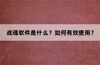 战魂软件是什么？如何有效使用？