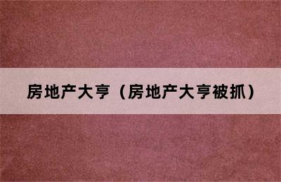 房地产大亨（房地产大亨被抓）