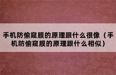 手机防偷窥膜的原理跟什么很像（手机防偷窥膜的原理跟什么相似）