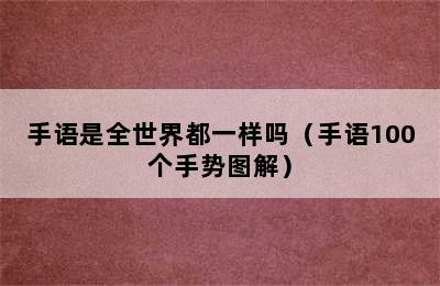 手语是全世界都一样吗（手语100个手势图解）