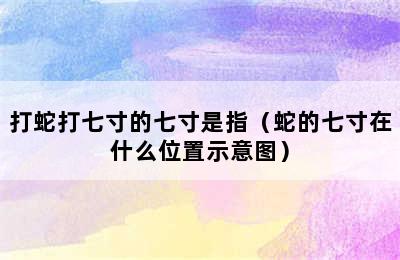 打蛇打七寸的七寸是指（蛇的七寸在什么位置示意图）