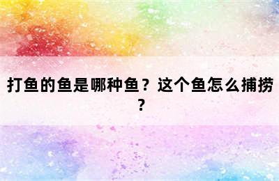 打鱼的鱼是哪种鱼？这个鱼怎么捕捞？