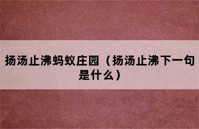 扬汤止沸蚂蚁庄园（扬汤止沸下一句是什么）