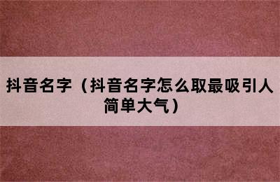 抖音名字（抖音名字怎么取最吸引人简单大气）