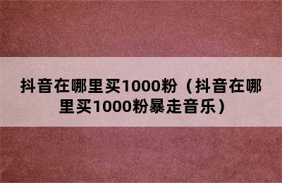 抖音在哪里买1000粉（抖音在哪里买1000粉暴走音乐）