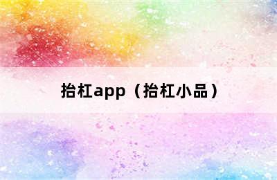 抬杠app（抬杠小品）