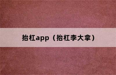 抬杠app（抬杠李大拿）