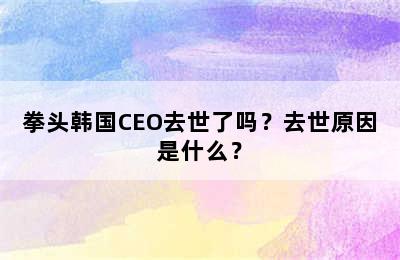 拳头韩国CEO去世了吗？去世原因是什么？