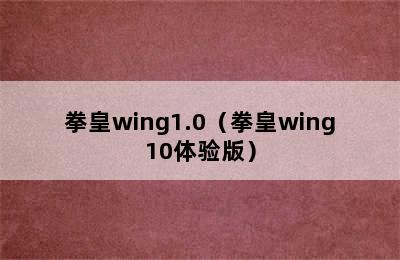 拳皇wing1.0（拳皇wing10体验版）