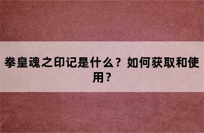 拳皇魂之印记是什么？如何获取和使用？