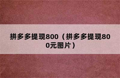 拼多多提现800（拼多多提现800元图片）