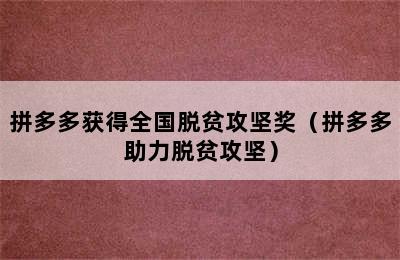 拼多多获得全国脱贫攻坚奖（拼多多助力脱贫攻坚）