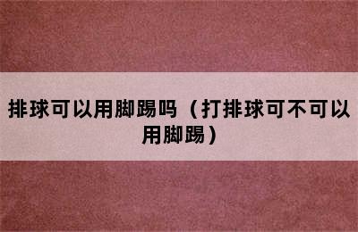 排球可以用脚踢吗（打排球可不可以用脚踢）