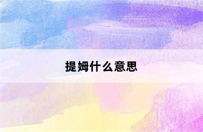 提姆什么意思