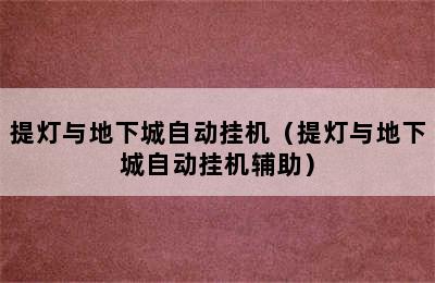 提灯与地下城自动挂机（提灯与地下城自动挂机辅助）