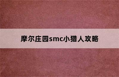 摩尔庄园smc小猎人攻略