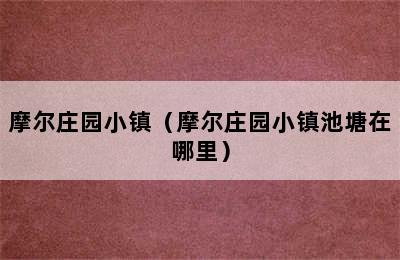 摩尔庄园小镇（摩尔庄园小镇池塘在哪里）