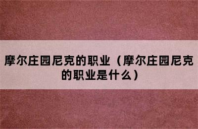 摩尔庄园尼克的职业（摩尔庄园尼克的职业是什么）