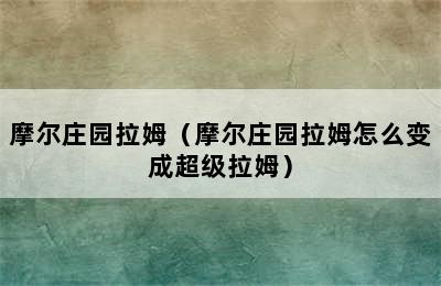 摩尔庄园拉姆（摩尔庄园拉姆怎么变成超级拉姆）