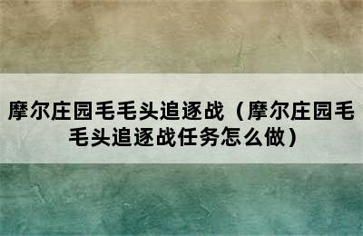 摩尔庄园毛毛头追逐战（摩尔庄园毛毛头追逐战任务怎么做）