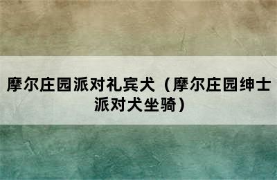 摩尔庄园派对礼宾犬（摩尔庄园绅士派对犬坐骑）