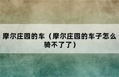 摩尔庄园的车（摩尔庄园的车子怎么骑不了了）