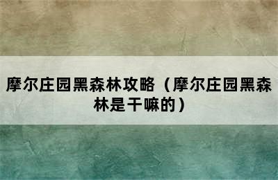 摩尔庄园黑森林攻略（摩尔庄园黑森林是干嘛的）