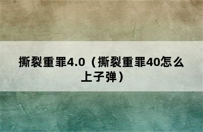 撕裂重罪4.0（撕裂重罪40怎么上子弹）