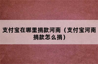 支付宝在哪里捐款河南（支付宝河南捐款怎么捐）