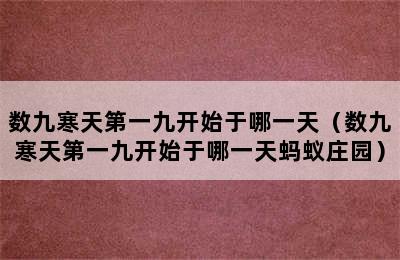 数九寒天第一九开始于哪一天（数九寒天第一九开始于哪一天蚂蚁庄园）