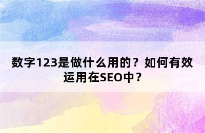 数字123是做什么用的？如何有效运用在SEO中？