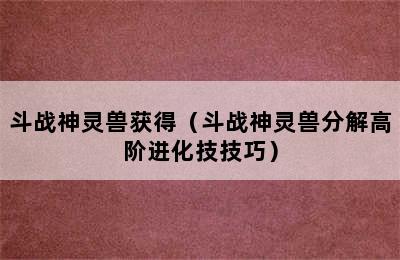 斗战神灵兽获得（斗战神灵兽分解高阶进化技技巧）