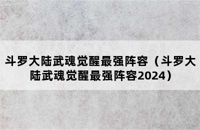 斗罗大陆武魂觉醒最强阵容（斗罗大陆武魂觉醒最强阵容2024）