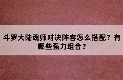 斗罗大陆魂师对决阵容怎么搭配？有哪些强力组合？