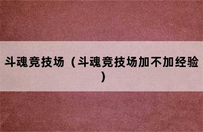 斗魂竞技场（斗魂竞技场加不加经验）