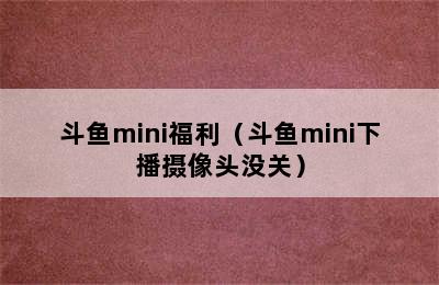 斗鱼mini福利（斗鱼mini下播摄像头没关）