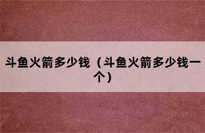 斗鱼火箭多少钱（斗鱼火箭多少钱一个）