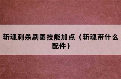 斩魂刺杀刷图技能加点（斩魂带什么配件）