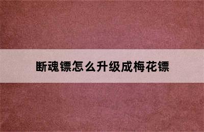 断魂镖怎么升级成梅花镖