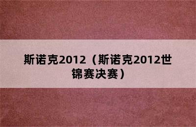 斯诺克2012（斯诺克2012世锦赛决赛）