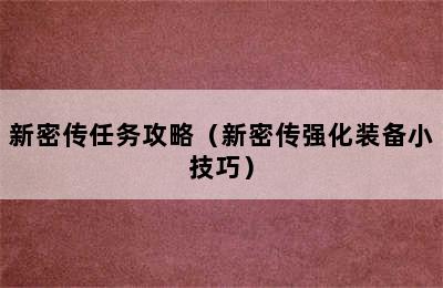 新密传任务攻略（新密传强化装备小技巧）