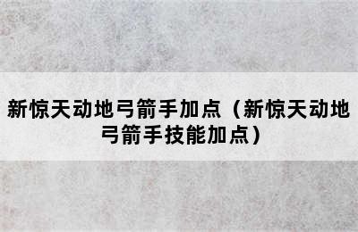 新惊天动地弓箭手加点（新惊天动地弓箭手技能加点）