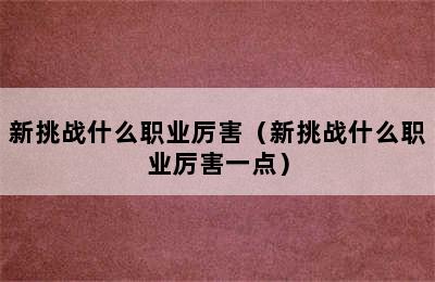 新挑战什么职业厉害（新挑战什么职业厉害一点）