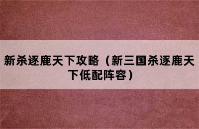 新杀逐鹿天下攻略（新三国杀逐鹿天下低配阵容）