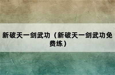 新破天一剑武功（新破天一剑武功免费练）