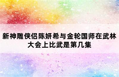 新神雕侠侣陈妍希与金轮国师在武林大会上比武是第几集