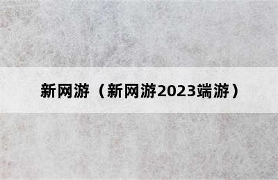 新网游（新网游2023端游）