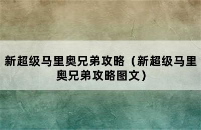 新超级马里奥兄弟攻略（新超级马里奥兄弟攻略图文）