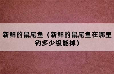 新鲜的鼠尾鱼（新鲜的鼠尾鱼在哪里钓多少级能掉）